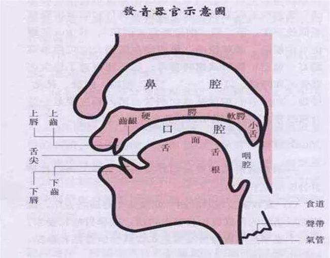 小孩发音不清楚的原因是什么？